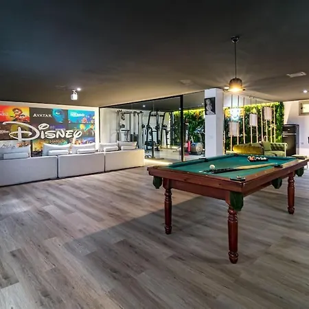 Mercedes 马尔韦利亚