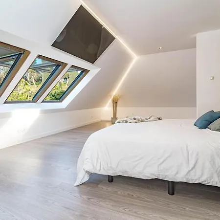 Mercedes * 马尔韦利亚