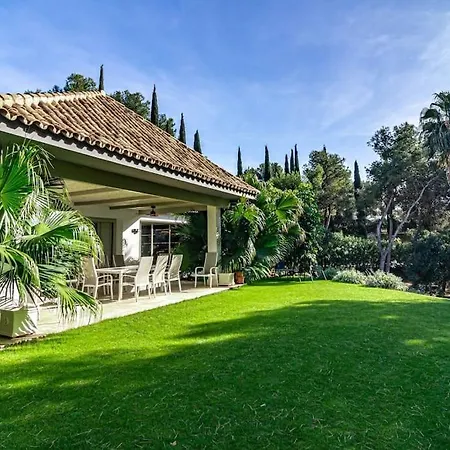 Mercedes Vila